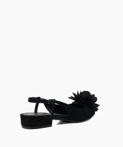 Fashion Harperr - Ballet Pumps